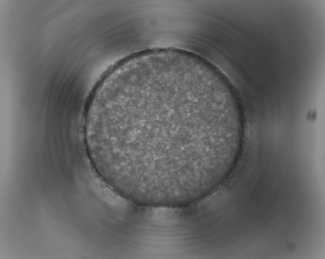 X0000113940832200910231942