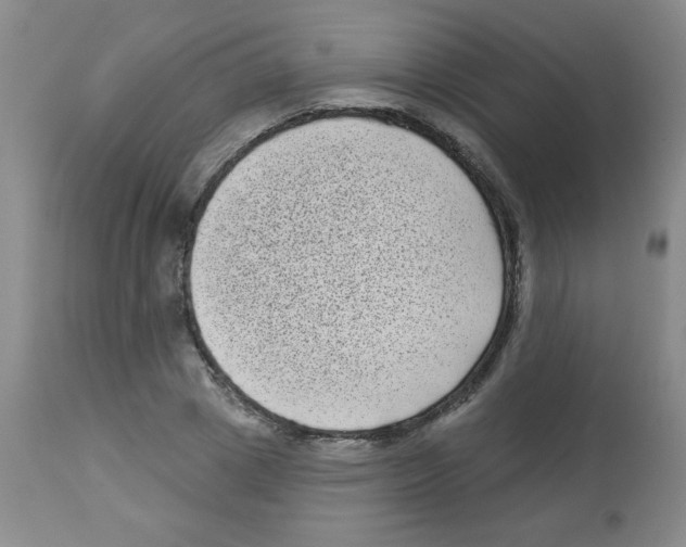 X0000113940833200910231942