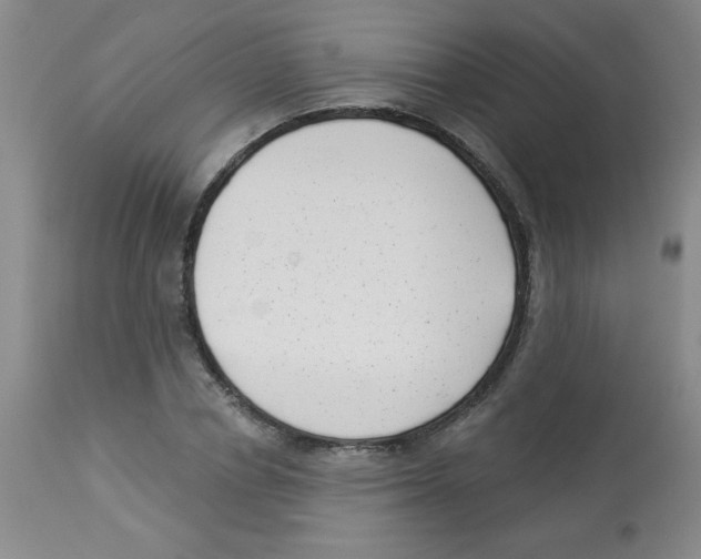 X0000113940834200910231942