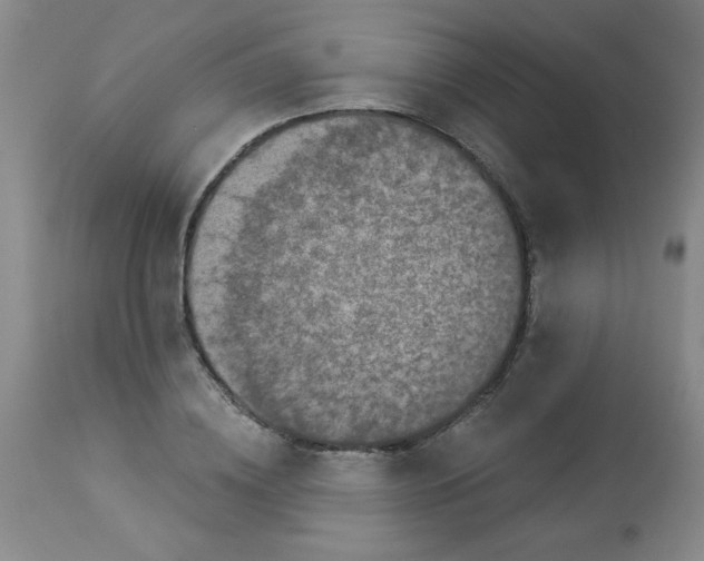 X0000113940836200910231942