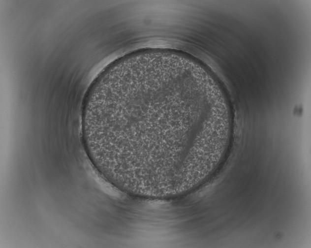 X0000113940837200910231942