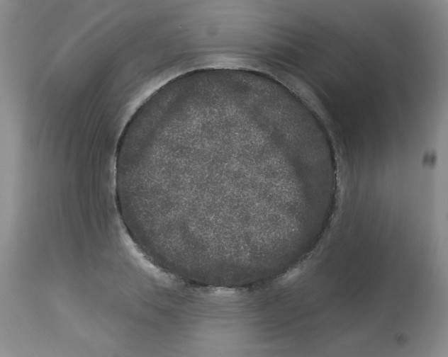 X0000113940839200910231942