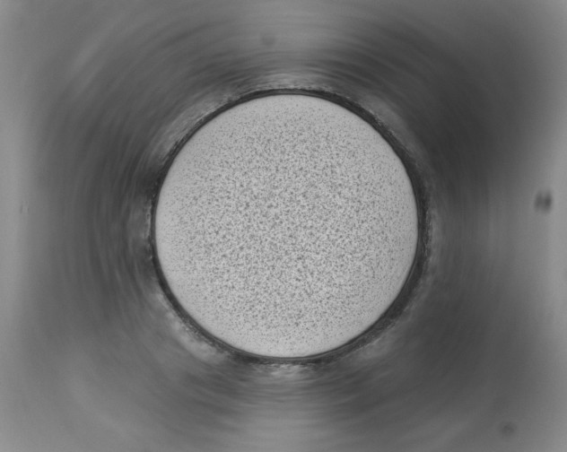 X0000113940841200910231942