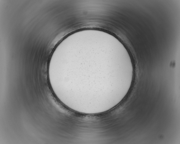 X0000113940842200910231942