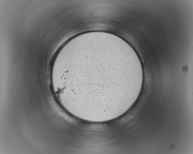 X0000113940843200910231942