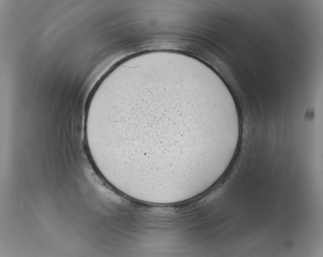 X0000113940844200910231942