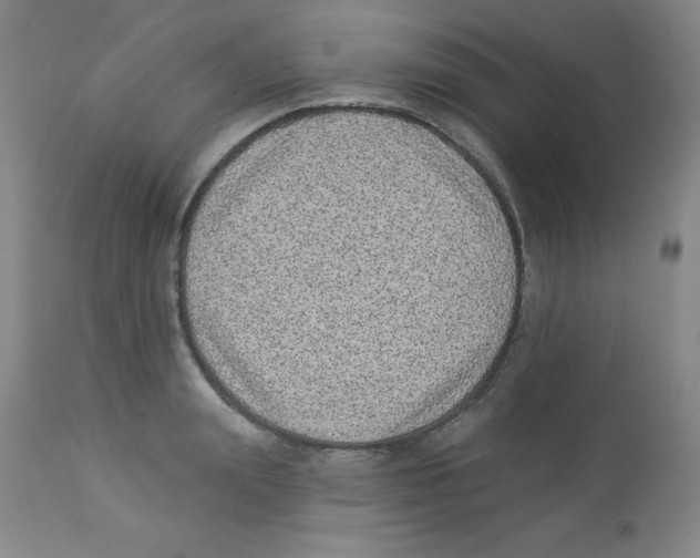 X0000113940847200910231942