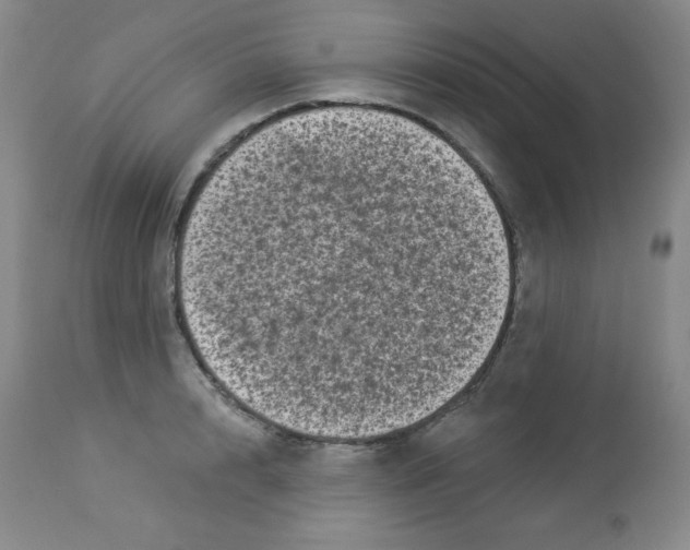X0000113940848200910231942