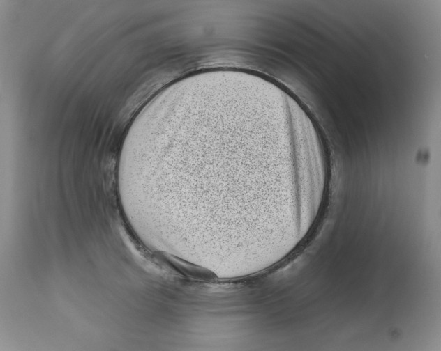 X0000113940849200910231942