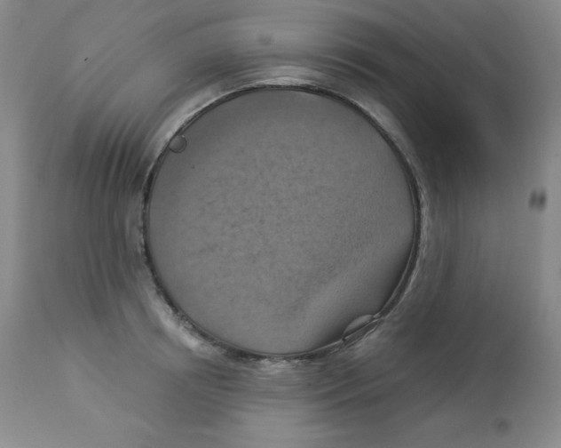 X0000113940850200910231942