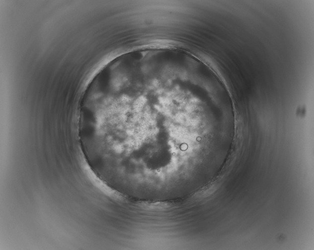 X0000113940851200910231942