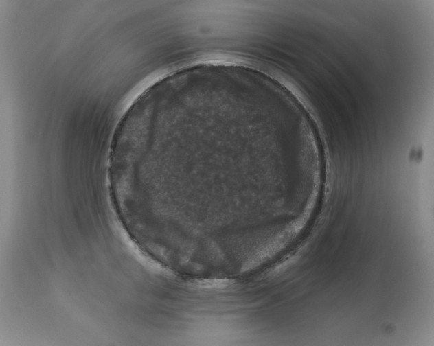 X0000113940853200910231942