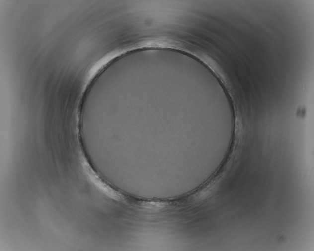 X0000113940854200910231942