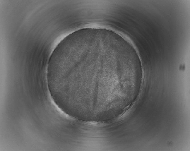 X0000113940855200910231942