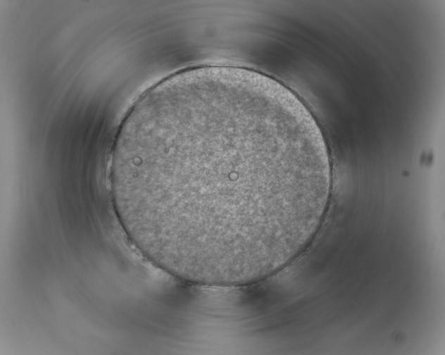 X0000113940856200910231942