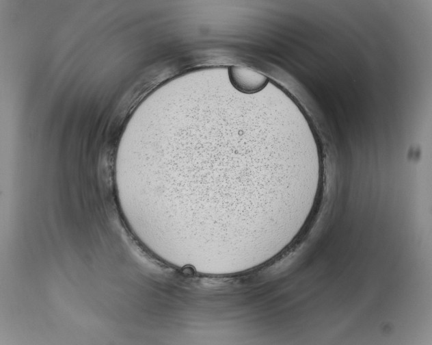 X0000113940857200910231942