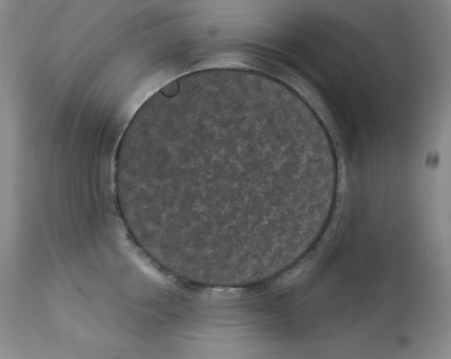 X0000113940858200910231942