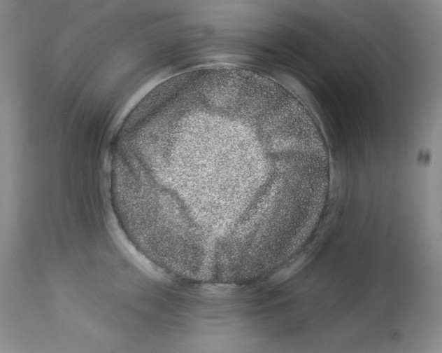 X0000113940859200910231942