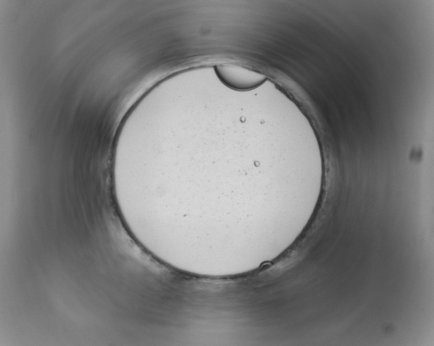 X0000113940860200910231942