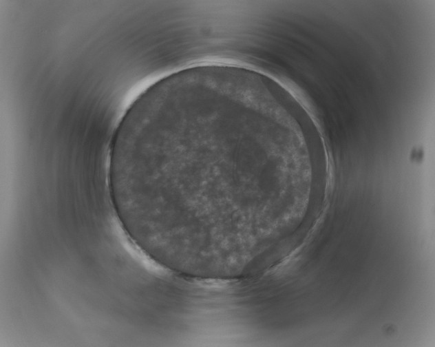 X0000113940862200910231942