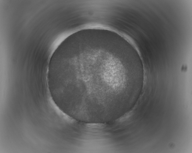 X0000113940863200910231942
