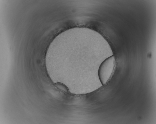 X0000113940865200910231942