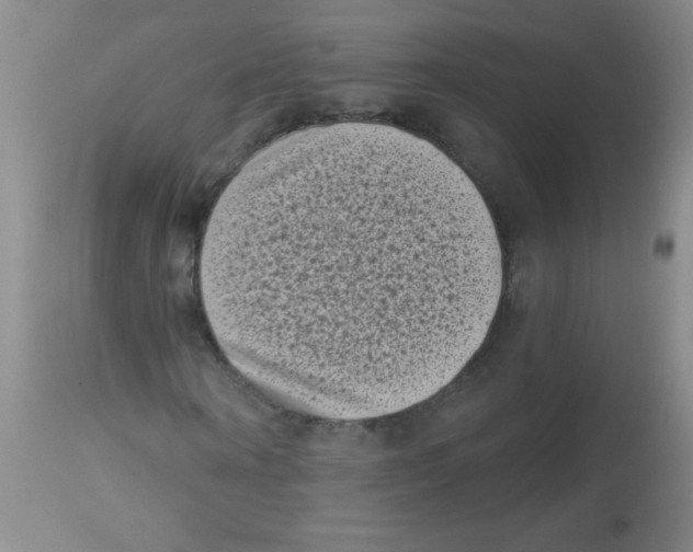 X0000113940866200910231942