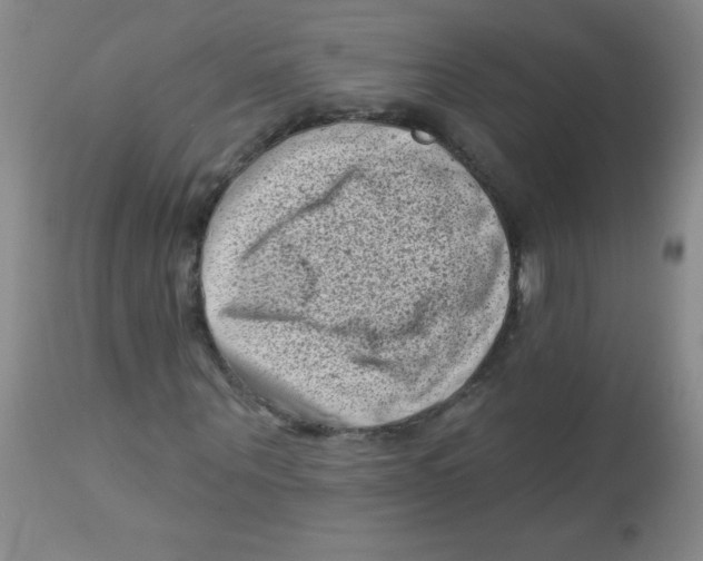 X0000113940867200910231942