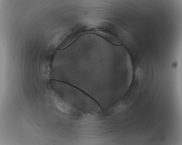 X0000113940868200910231942