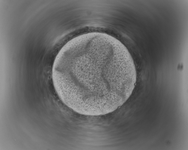 X0000113940870200910231942