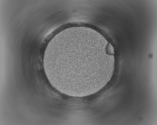 X0000113940871200910231942
