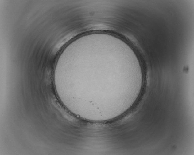X0000113940873200910231941