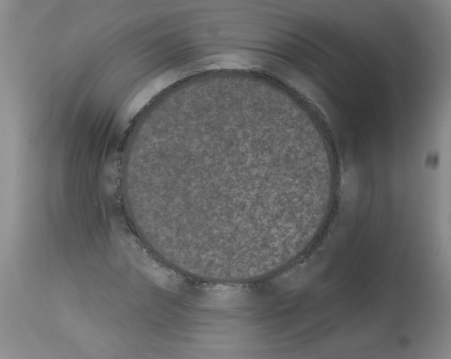 X0000113940874200910231941