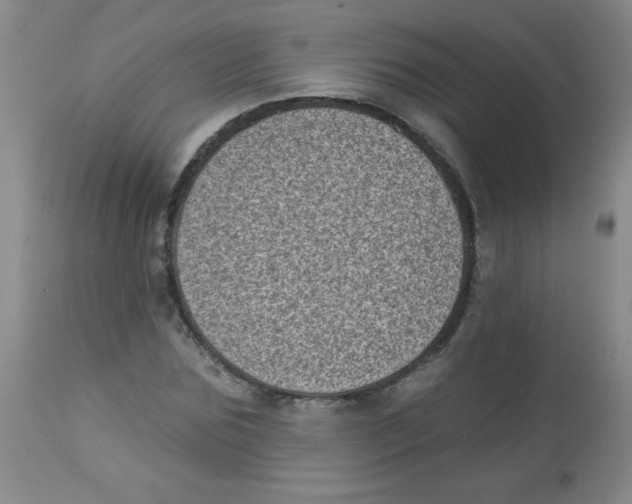 X0000113940875200910231941