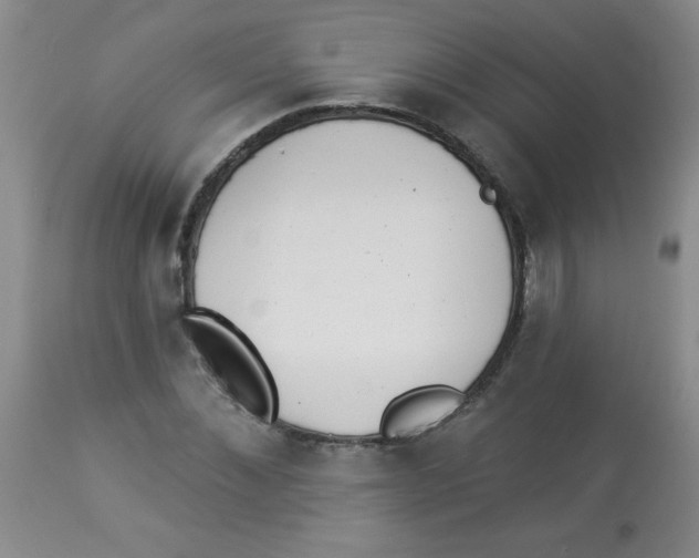 X0000113940876200910231941