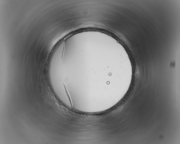 X0000113940877200910231941