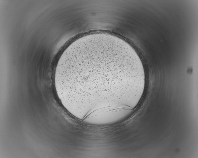 X0000113940878200910231941