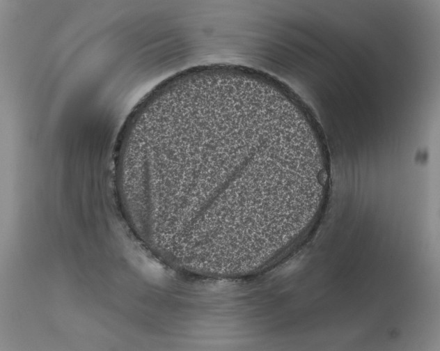 X0000113940879200910231941
