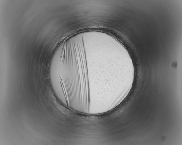 X0000113940881200910231941