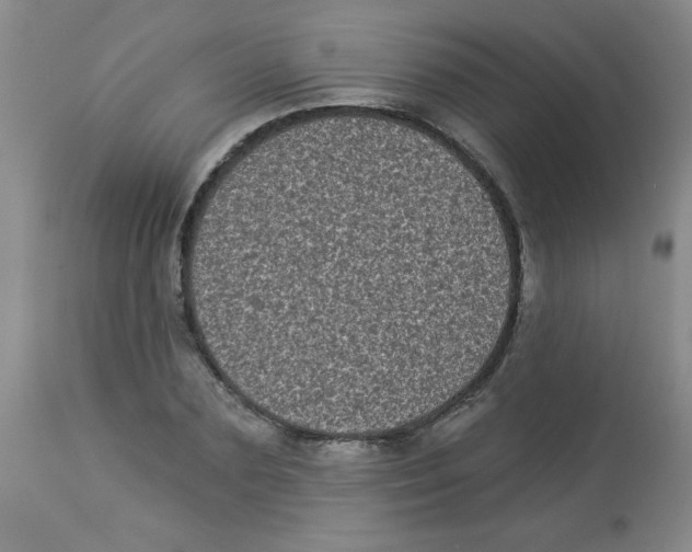 X0000113940883200910231941