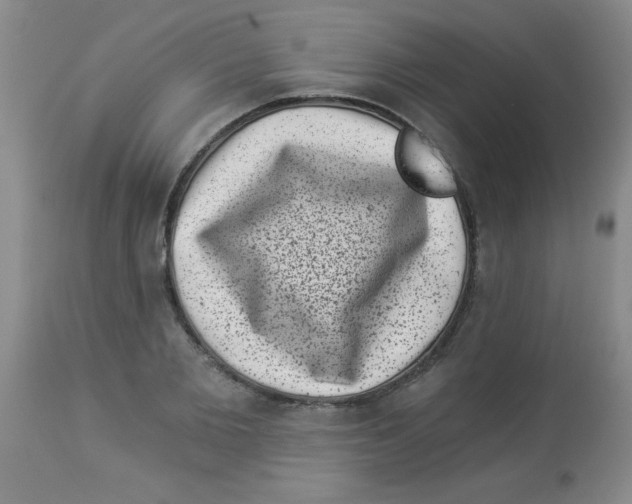 X0000113940885200910231941