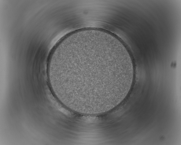 X0000113940886200910231941
