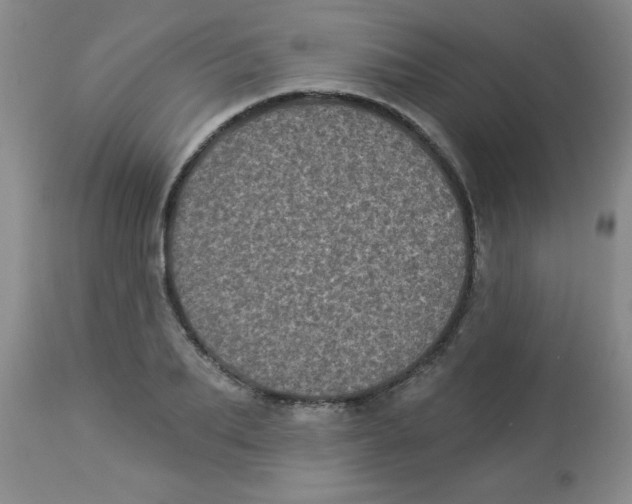 X0000113940887200910231941