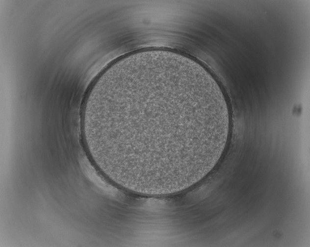 X0000113940890200910231941