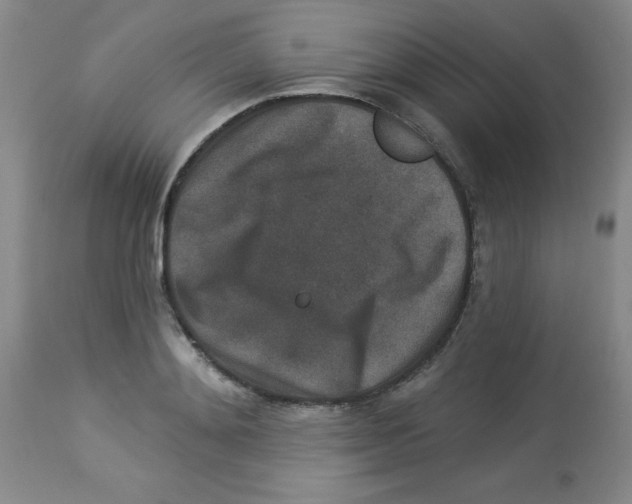 X0000113940892200910231941