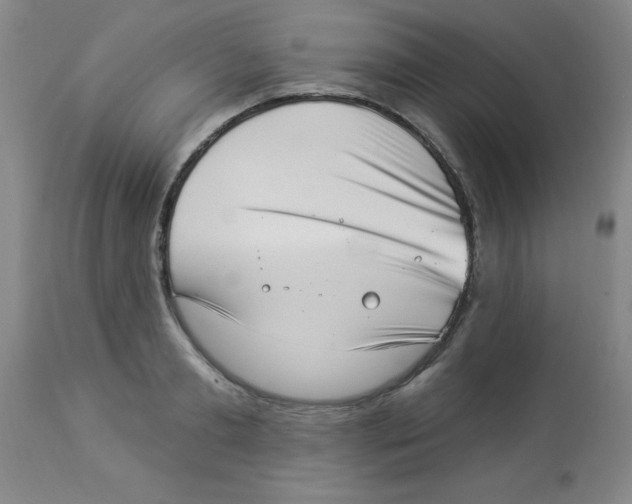 X0000113940893200910231941