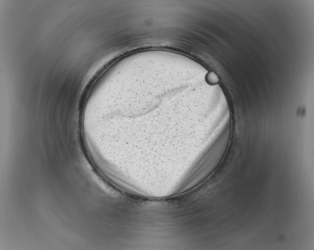 X0000113940894200910231941