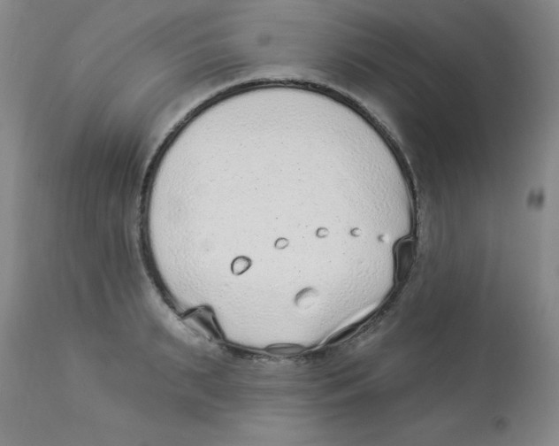 X0000113940895200910231941