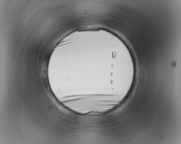 X0000113940897200910231941