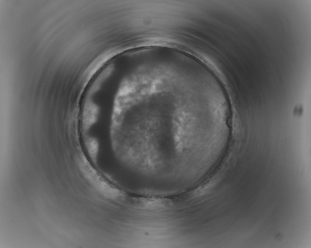 X0000113940899200910231941